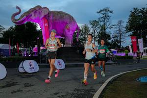 BIB: 
                            <button type="button" onclick="openModal(26529680)" class="btn btn-primary btn-sm float-right btn-popup" data-toggle="modal" data-target=".modal-high-quality">
                        <i class="fas fa-shopping-cart"></i> Add to Cart
                    </button>
                                            <button type="button" onclick="isThisMe(26529680, true)" class="btn btn-success btn-sm float-right btn-popup btn-isme hidden" data-toggle="tooltip" data-placement="bottom" title="นี่คือรูปของคุณใช่ไหม คลิกที่นี่เพื่อเอาเข้าอัลบั้ม">
                        <i class="fas fa-plus"></i> Add to album
                    </button>
                    <button type="button" onclick="isThisMe(26529680, false)" class="btn btn-warning btn-sm float-right btn-popup btn-isnotme hidden">
                        <i class="fas fa-ban"></i> Remove from album
                    </button>